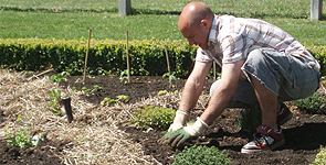 The garden of Sault - Sault Restaurant Daylesford