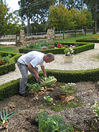 The garden of Sault - Sault Restaurant Daylesford