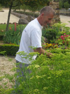 The garden of Sault - Sault Restaurant Daylesford