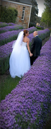 Weddings at Sault - Sault Restaurant Daylesford Weddings at Sault - Sault Restaurant Daylesford